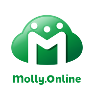 モーリーオンライン